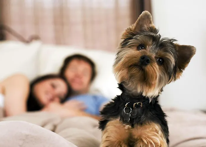 Cristallo Di La Rosetta Srl 酒店