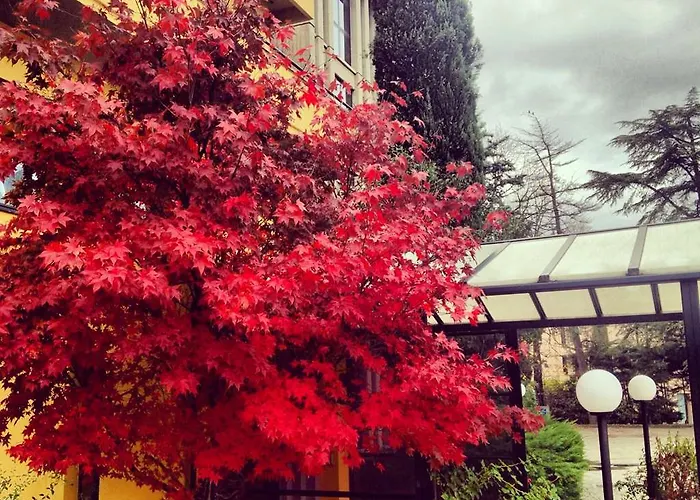 Cristallo Di La Rosetta Srl 酒店